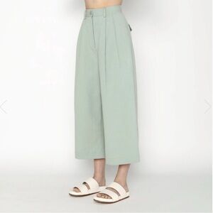Wide Leg Cropped Pants in Mint Green